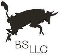 BS_Logo_BLK-1